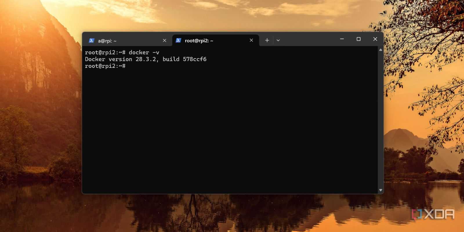 screenshot of docker version check