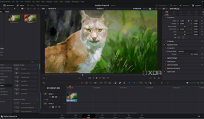 Ebsynth editing image sequence in Davinci Resolve