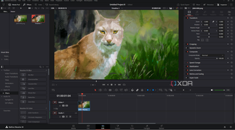 Ebsynth editing image sequence in Davinci Resolve