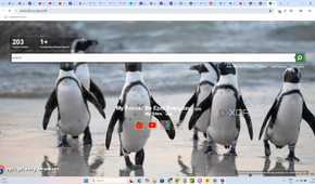Epic Browser Security Settings 4 homescreen trackers blocked