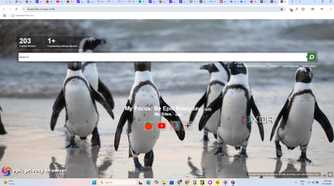 Epic Browser Security Settings 4 homescreen trackers blocked