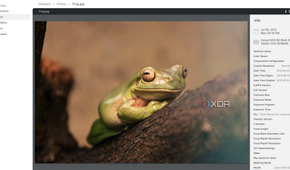 Filestash photos exif data