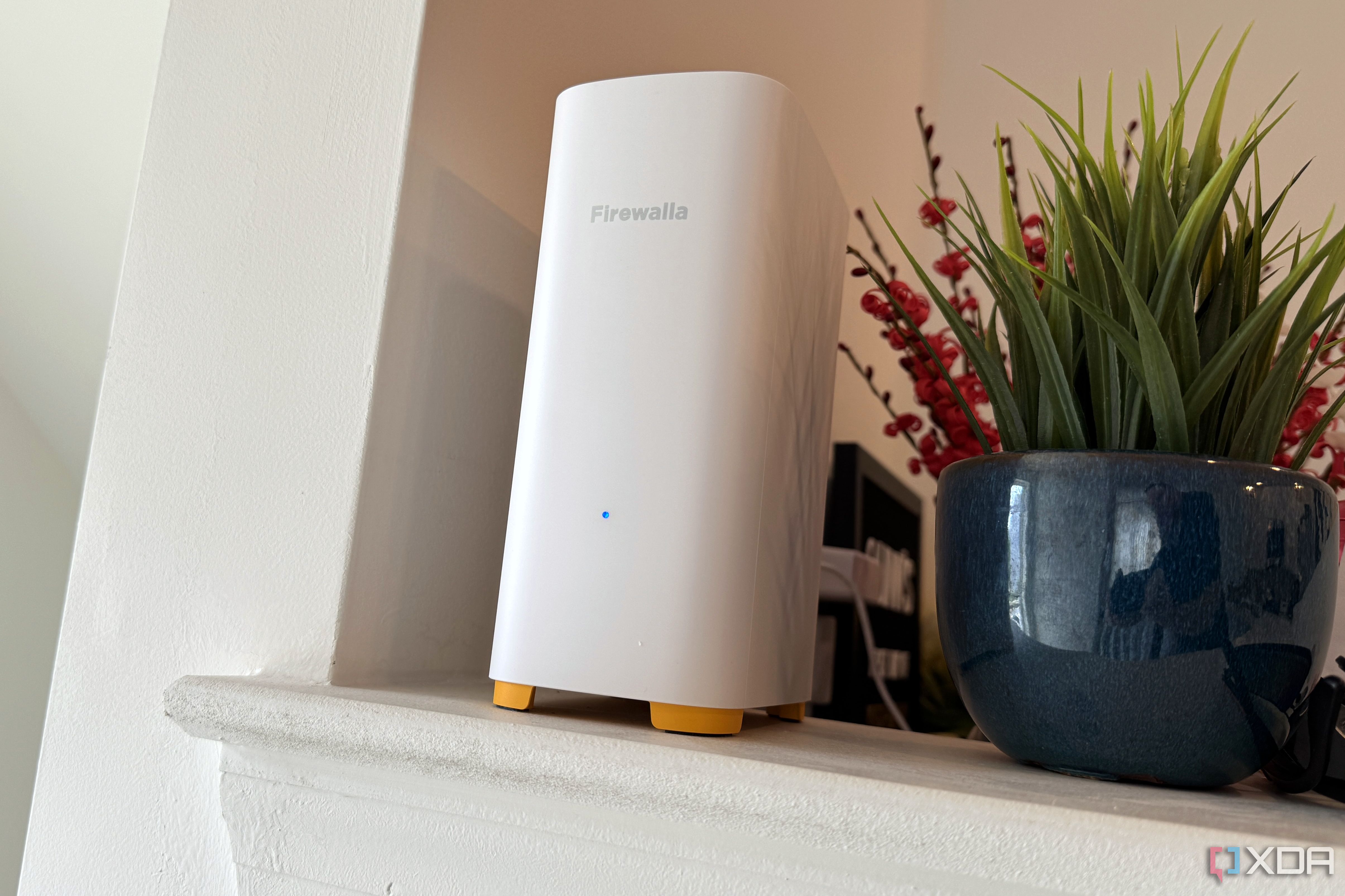 firewalla ap7 trên quầy bếp cạnh một chậu cây
