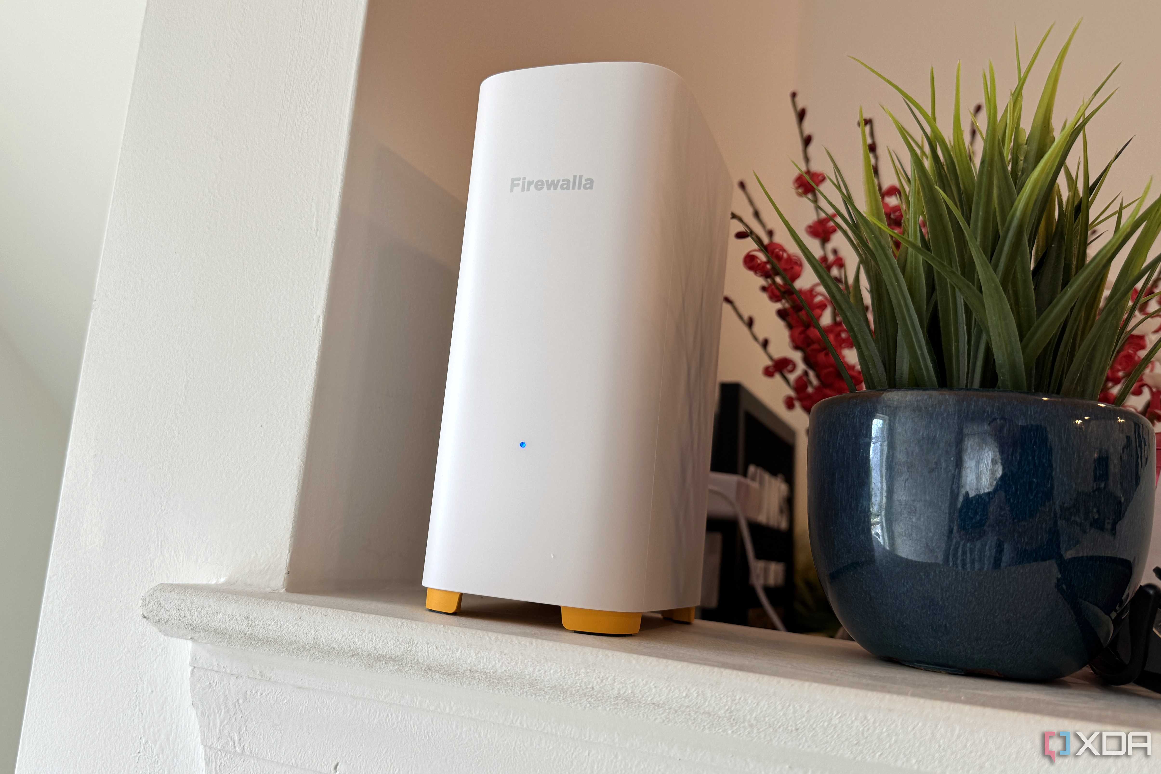 firewalla ap7 on counter next to a plant pot