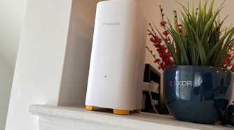 firewalla ap7 on counter next to a plant pot