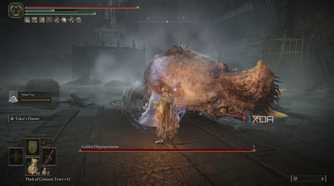 The golden hippo boss fight from Elden Ring: Shadow of the Erdtree.