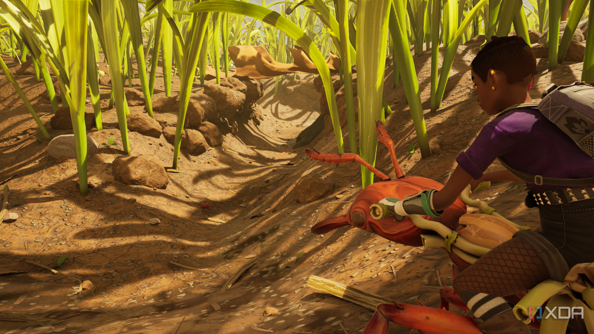 riding an ant through a grass forest