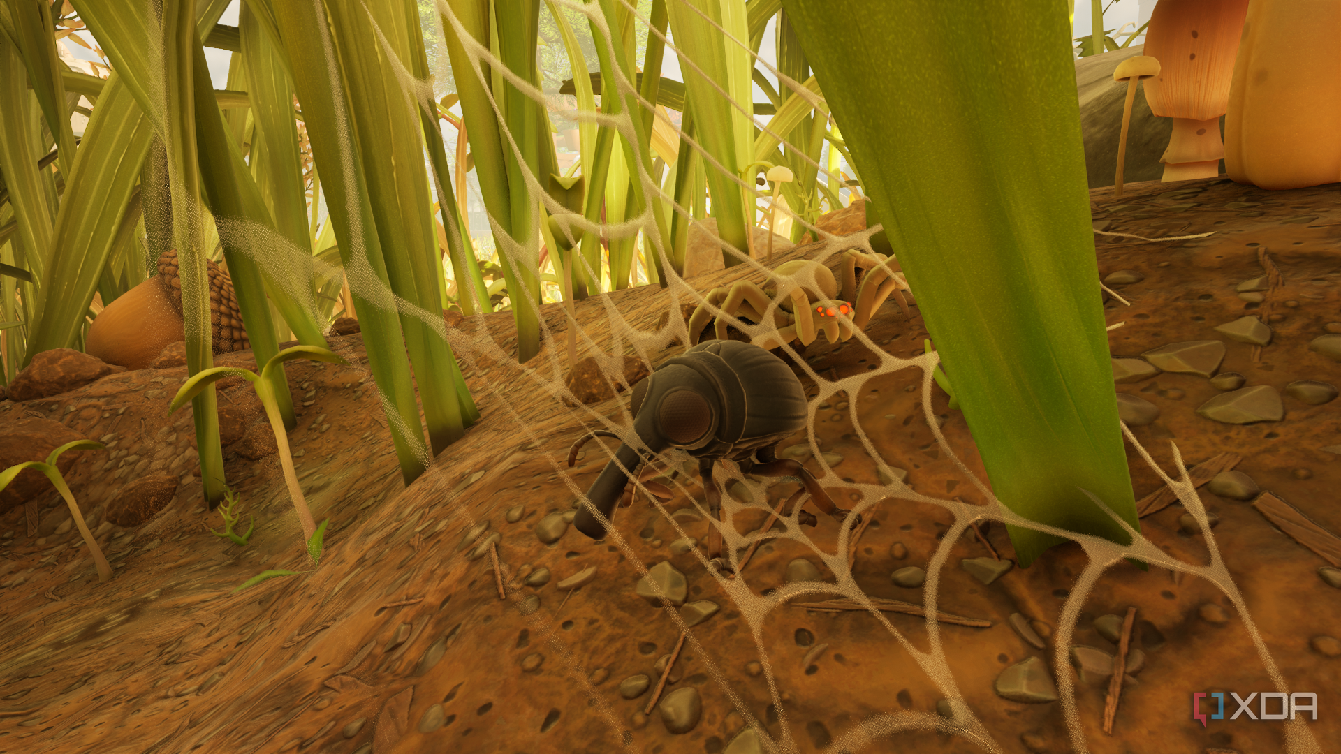 A weevil stuck in a web