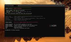 screenshot of installing plex dietpi