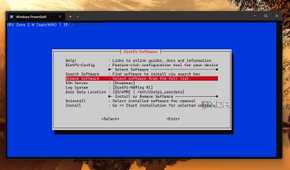 screenshot of launching software browse tool dietpi