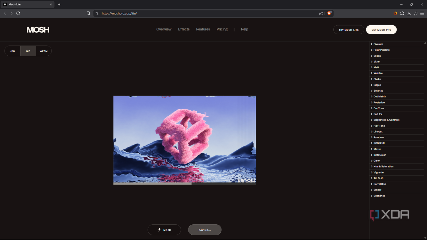 Mosh-Lite export as GIF