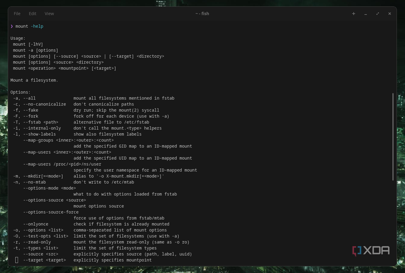 11 Linux commands everyone should know to manage their storage