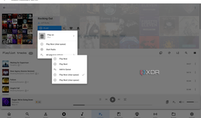 Music Assistant Music queue and playback options