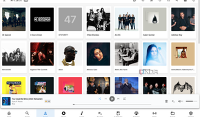 Music Assstant Music library tabs_3