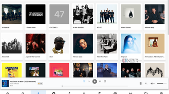 Music Assstant Music library tabs_3