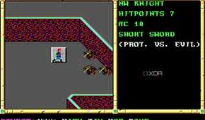Screenshot from the 1991 game Neverwinter Nights.