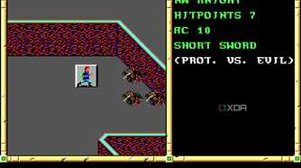 Screenshot from the 1991 game Neverwinter Nights.