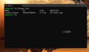 screenshot of ollama installed models wsl2