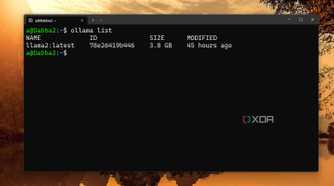 screenshot of ollama installed models wsl2
