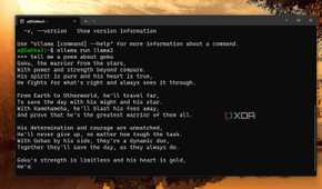 screenshot of ollama sample query output wsl2