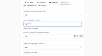 screenshot of paperless ai advanced settings
