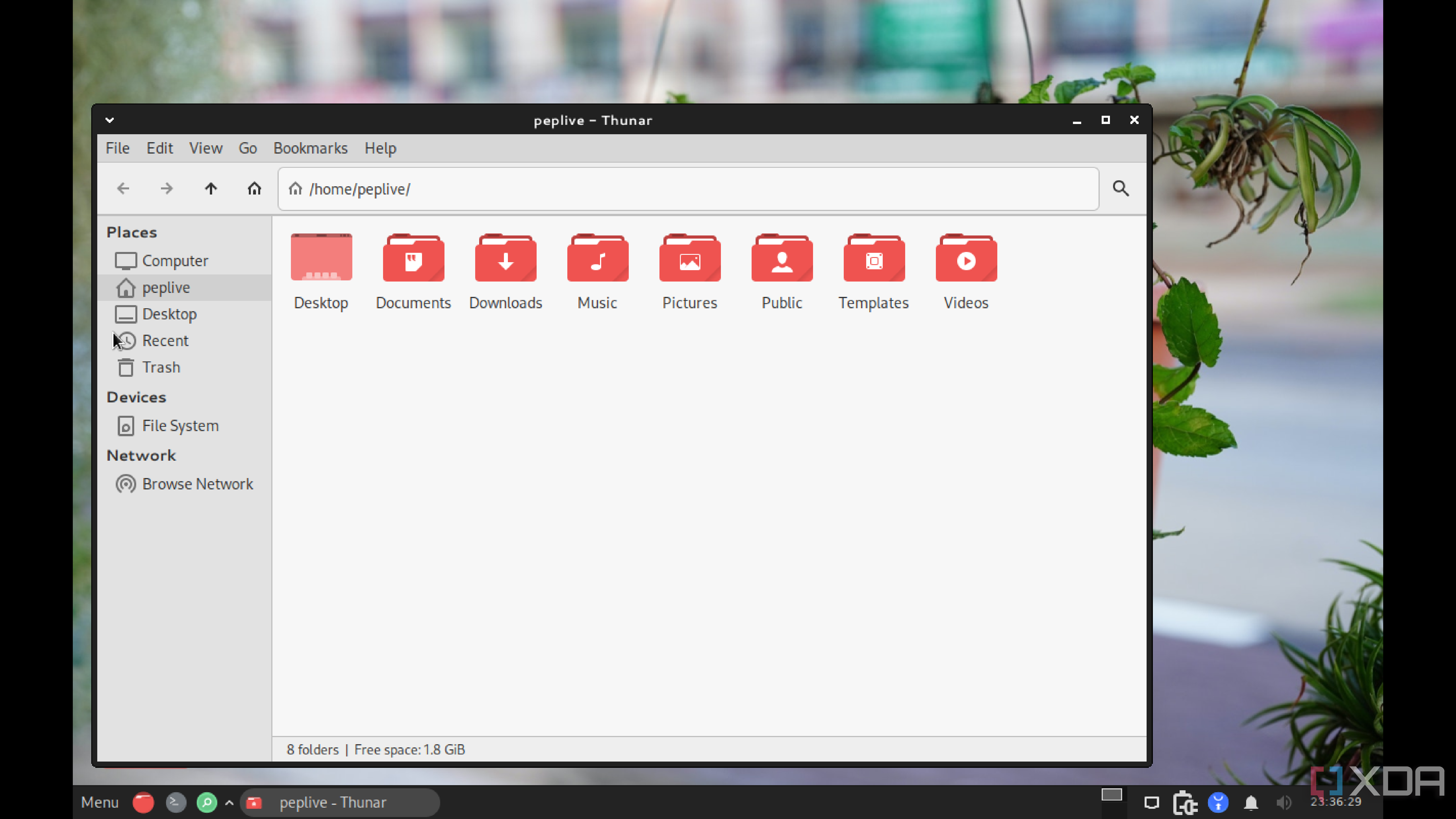 Peppermint Os File System 5 lightweight Linux distros that breathe life into old Windows 10 laptops