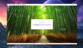 Accessing the Windows 11 VM via RDP