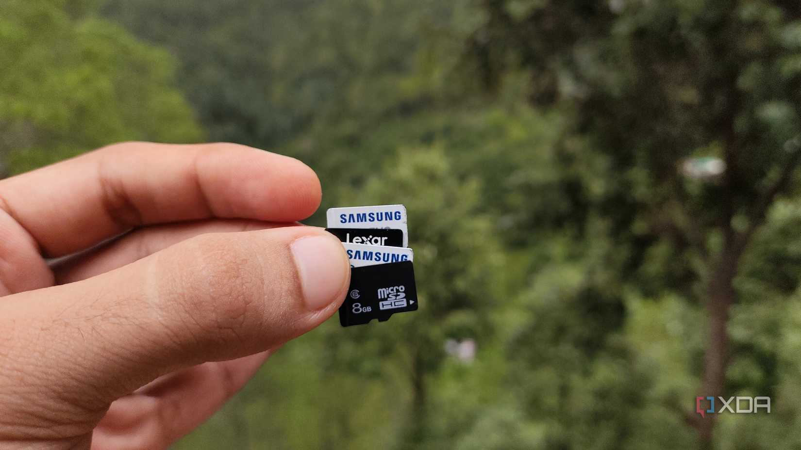 A person holding microSD cards