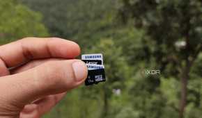 A person holding microSD cards