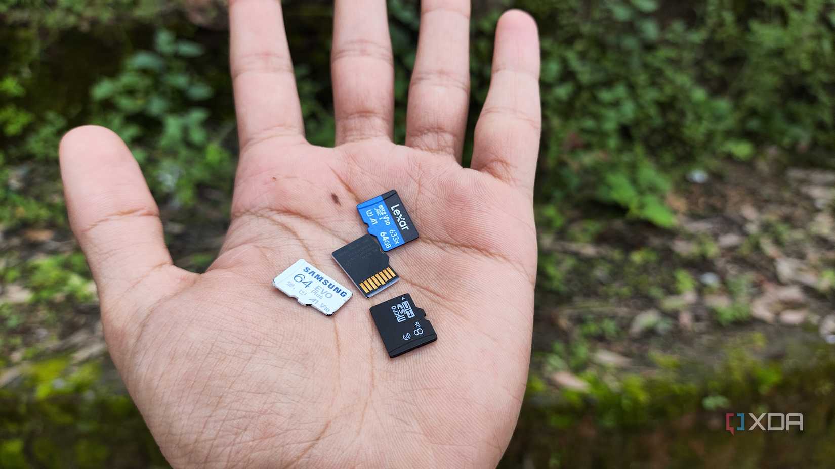 Una persona con tarjetas microSD.