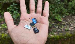 A person holding microSD cards