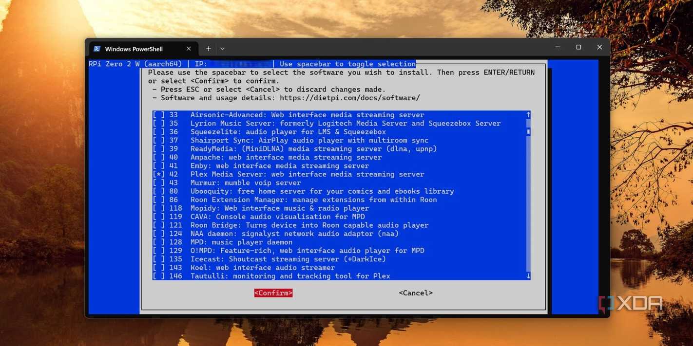 screenshot of selecting plex media server dietpi