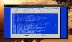 screenshot of selecting plex media server dietpi