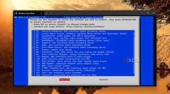 screenshot of selecting plex media server dietpi