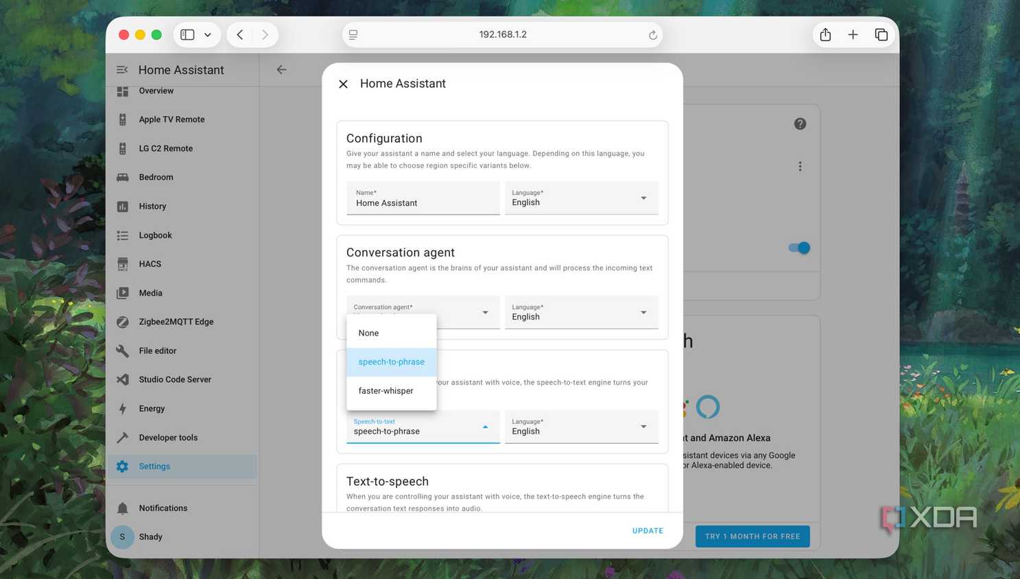 Set up Voice Pipeline in Home-Assistant