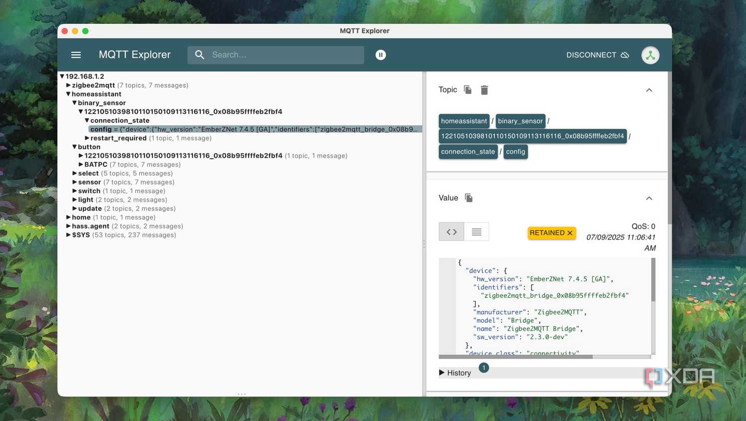 Smart device config in MQTT Explorer