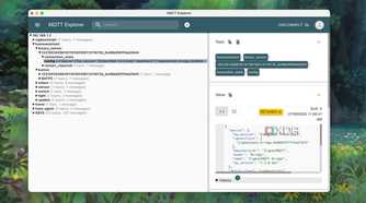 Smart device config in MQTT Explorer