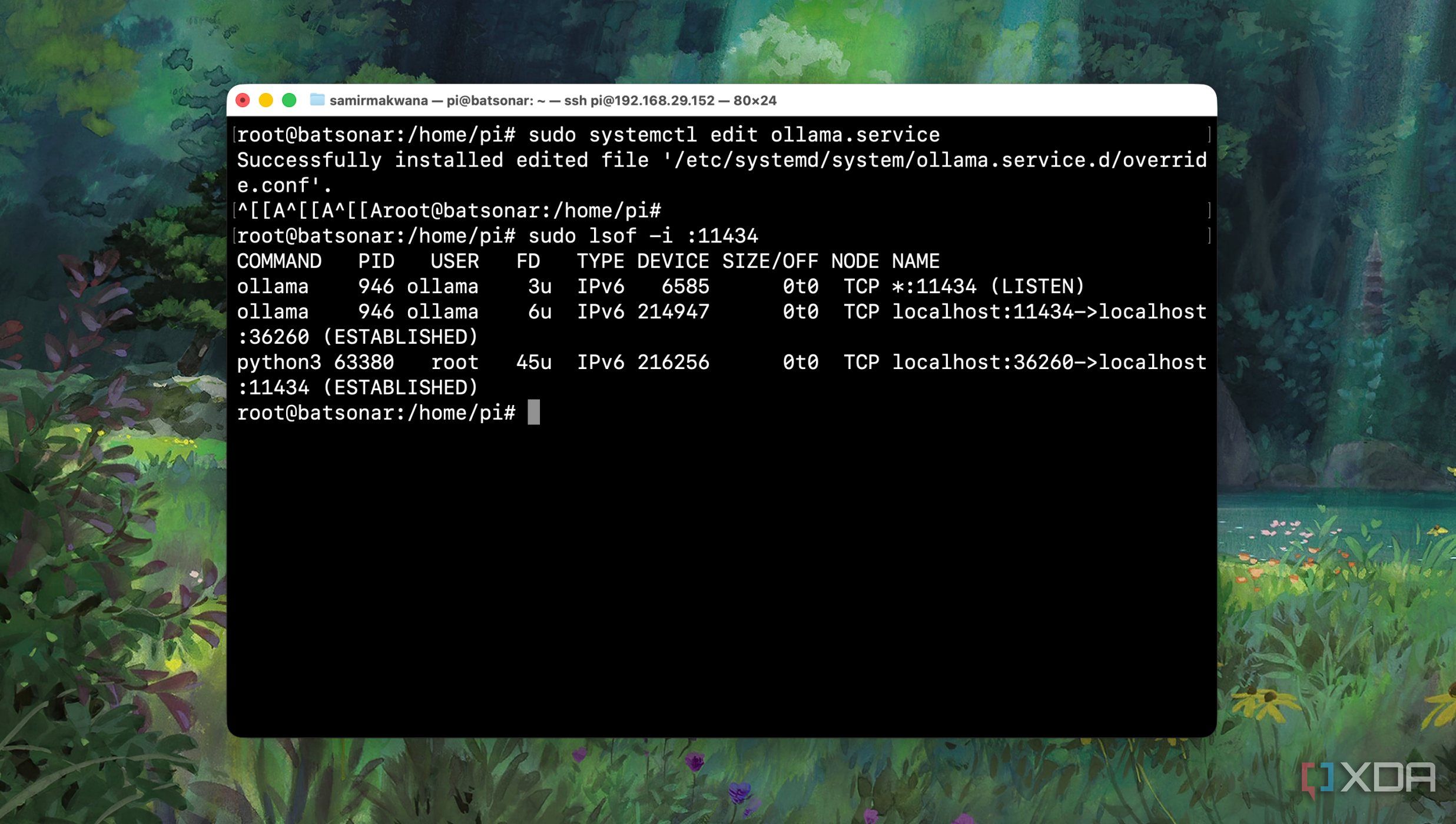 Testing changes in Ollama service on a local machine