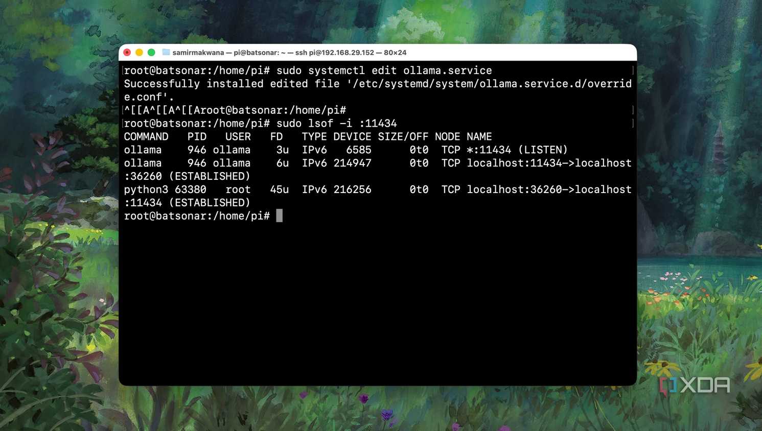 Testing changes in Ollama service on a local machine