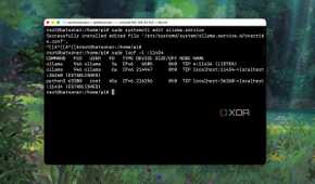 Testing changes in Ollama service on a local machine