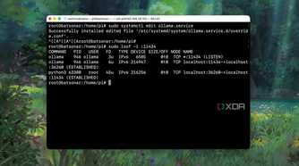 Testing changes in Ollama service on a local machine