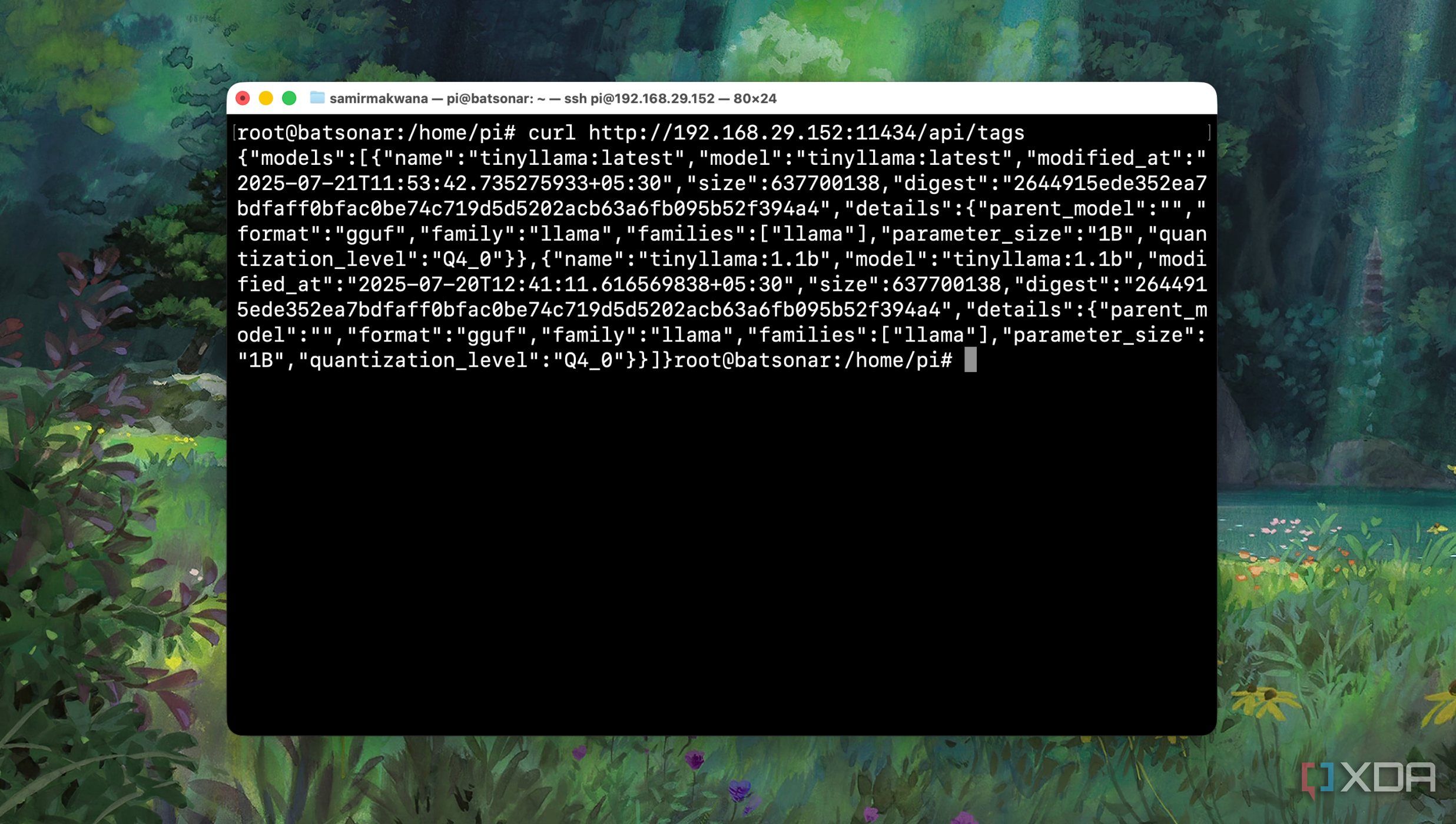 Testing if Ollama server is reachable on Raspberry pi