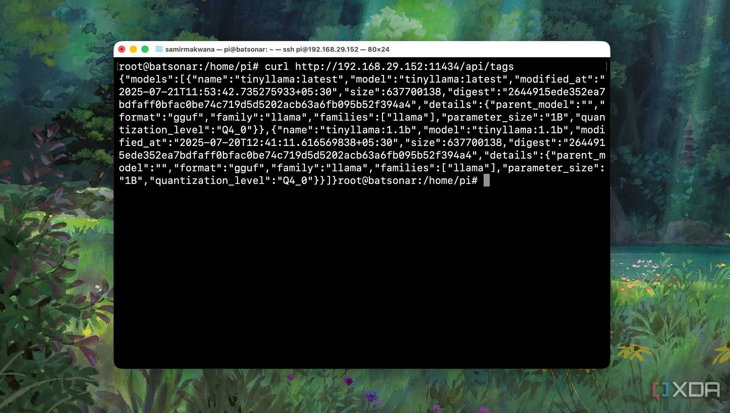 Testing if Ollama server is reachable on Raspberry pi