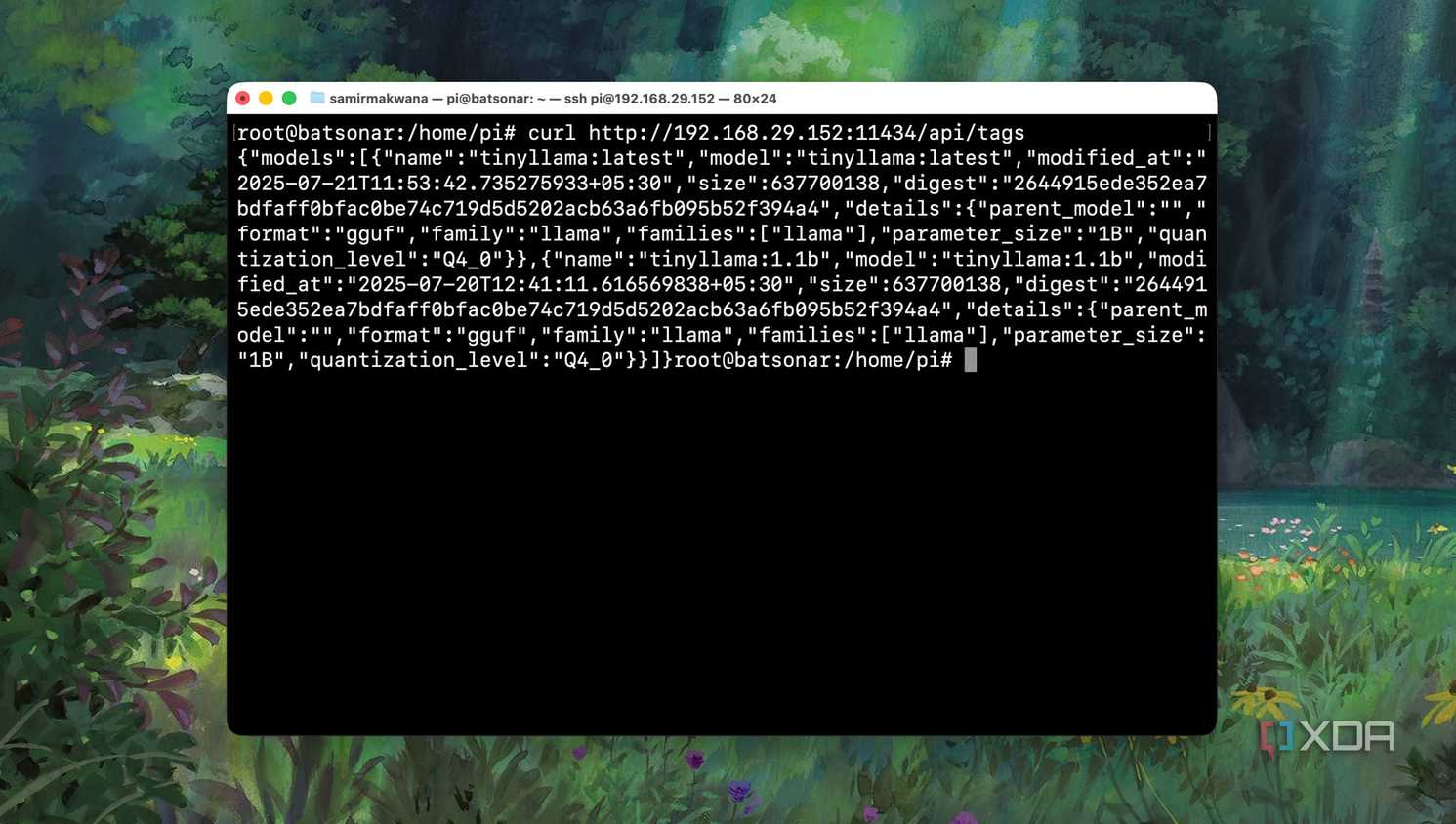 Testing if Ollama server is reachable on Raspberry pi