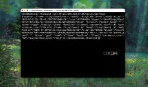 Testing if Ollama server is reachable on Raspberry pi