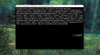 Testing if Ollama server is reachable on Raspberry pi