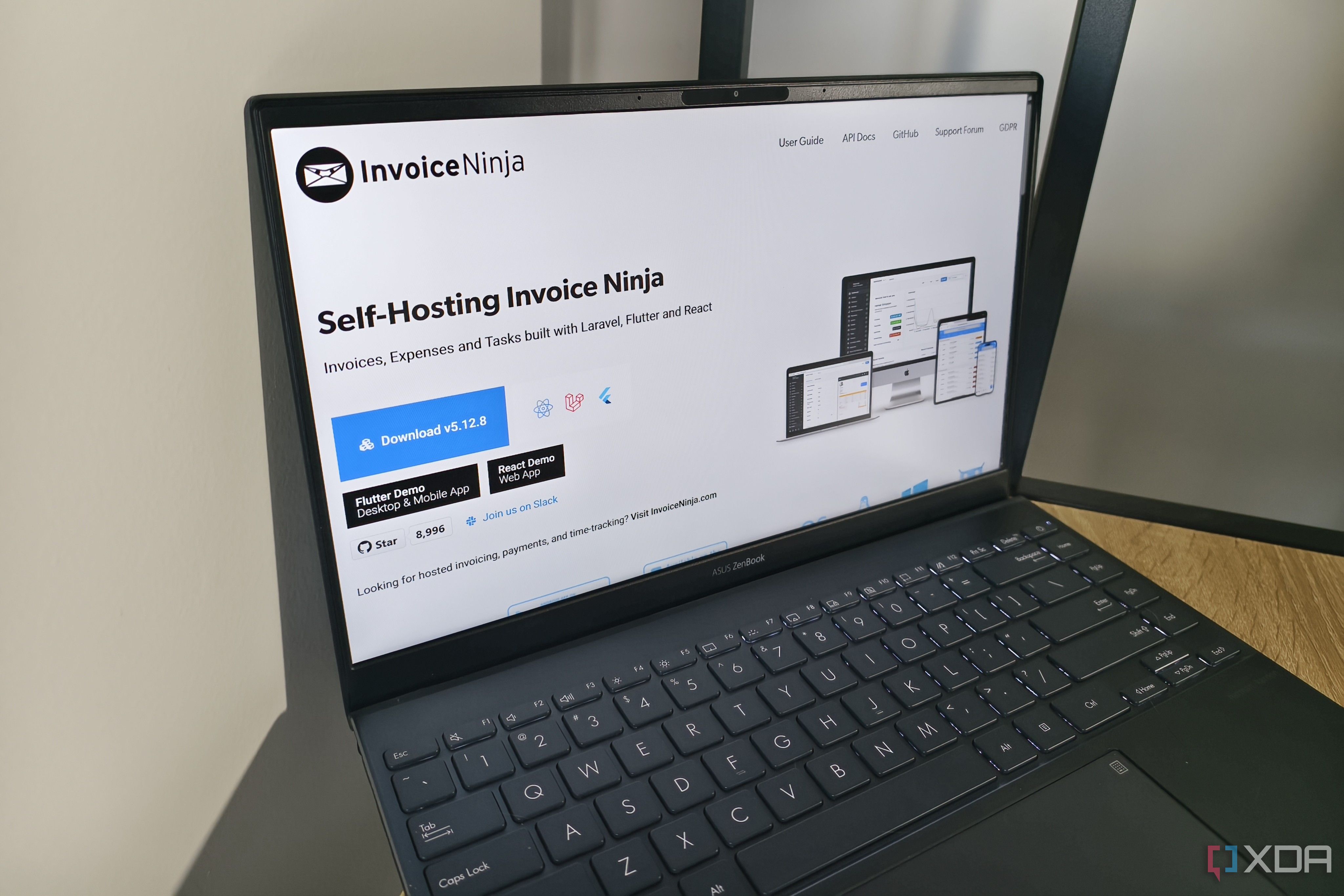 the invoice ninja self hosting website