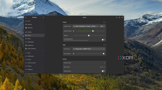 Screenshot of Ubuntu showing sound options in the Settings app