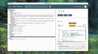 Viewing messages of smart devices in MQTT Explorer