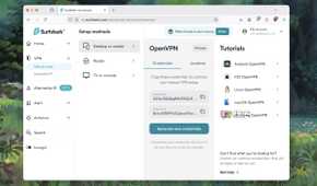 Screenshot of manual OpenVPN setup keys options in a VPN service
